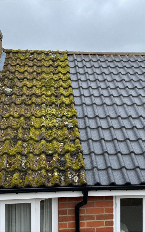 Moss Removal On Roof