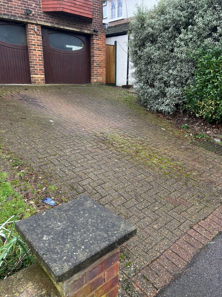 dirty driveway with moss