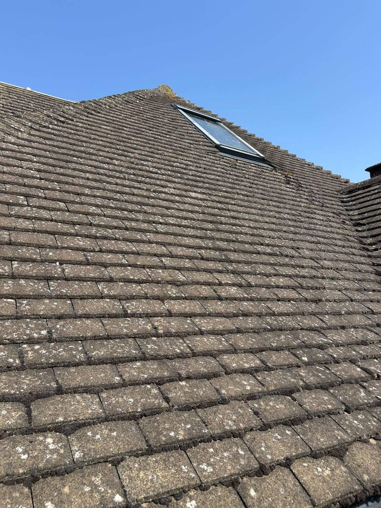 before roof clean